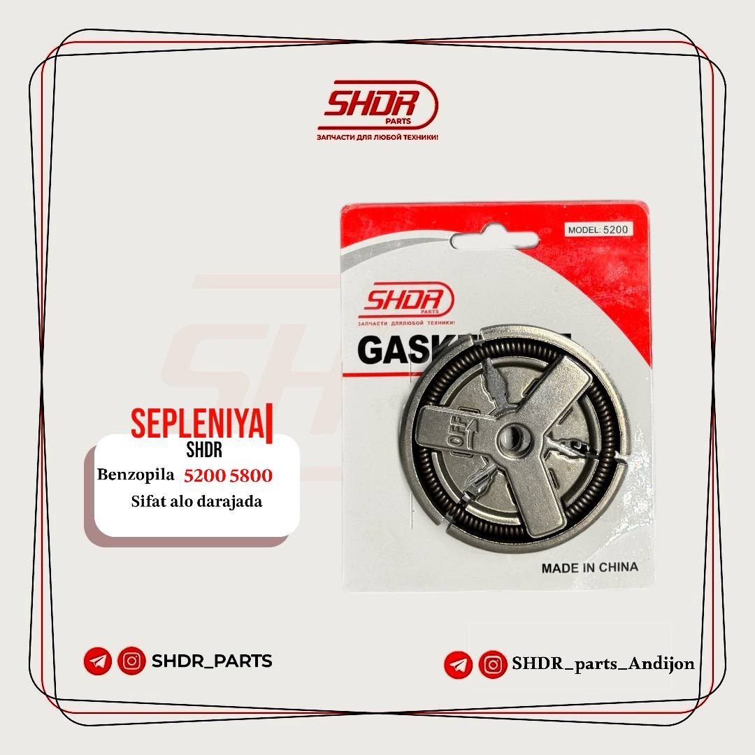 5200 Sepleniya