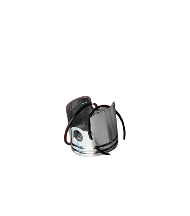 25L Porshen