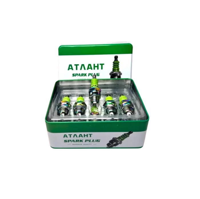 Atlant Svicha Temir